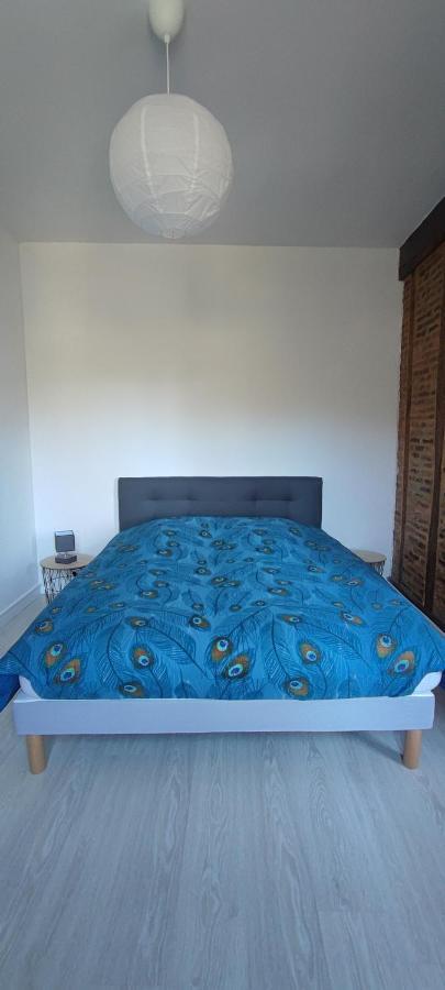Appartement D'Hippolyte - Vue Musee Rimbaud Charleville-Mézières Dış mekan fotoğraf